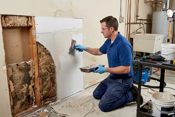 Mold and Drywall Repair San Bernardino