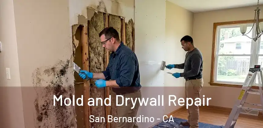  Mold and Drywall Repair San Bernardino - CA