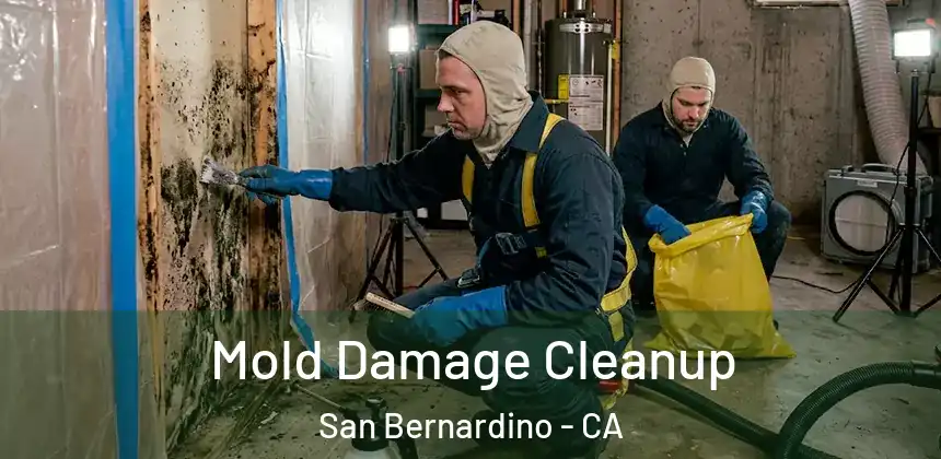 Mold Damage Cleanup San Bernardino - CA