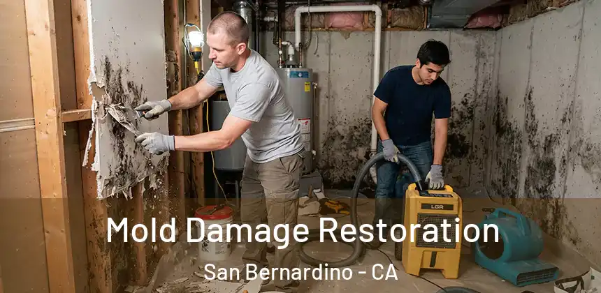  Mold Damage Restoration San Bernardino - CA