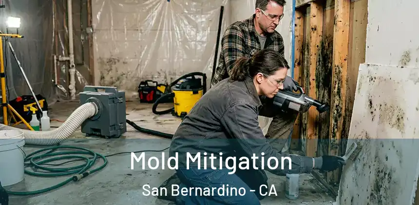 Mold Mitigation San Bernardino - CA
