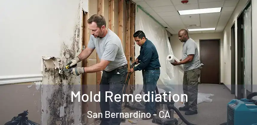  Mold Remediation San Bernardino - CA