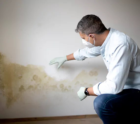 Mold Removal Service in San Bernardino, CA