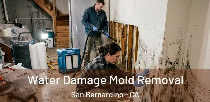 Water Damage Mold Removal San Bernardino - CA